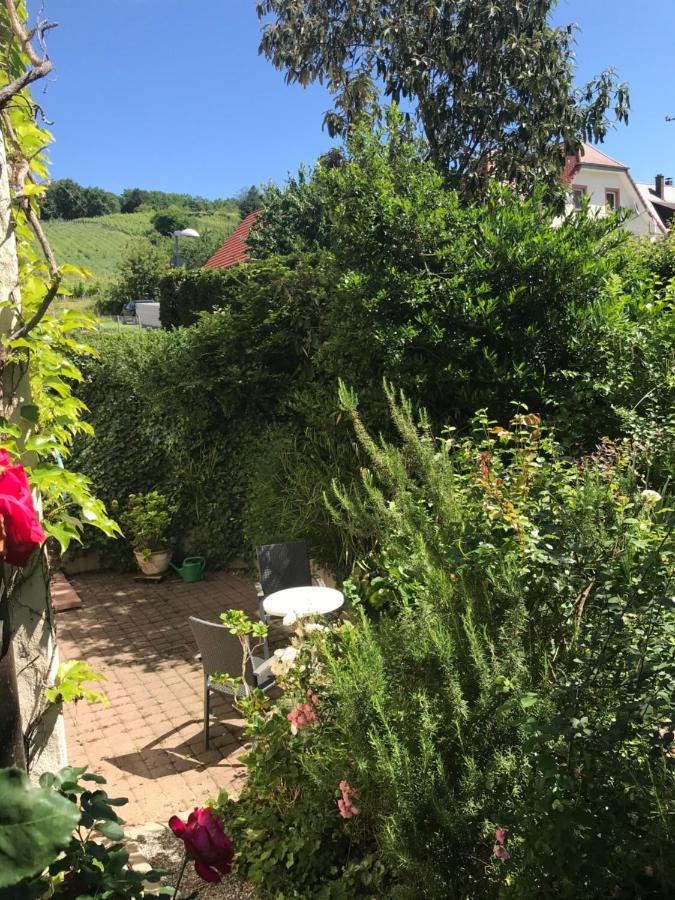 Gartenwohnung Gundelfingen  Exterior foto